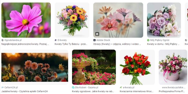 Pozycjonowanie grafiki i zdjęć w Google - przykład wyszukiwania graficznego frazy "kwiaty"