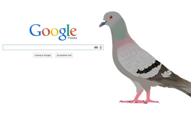 Nowy algorytm Google – Gołąb w lokalnych wynikach wyszukiwania